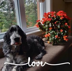 Meet your Posher, Paula